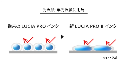 耐光性・耐擦過性